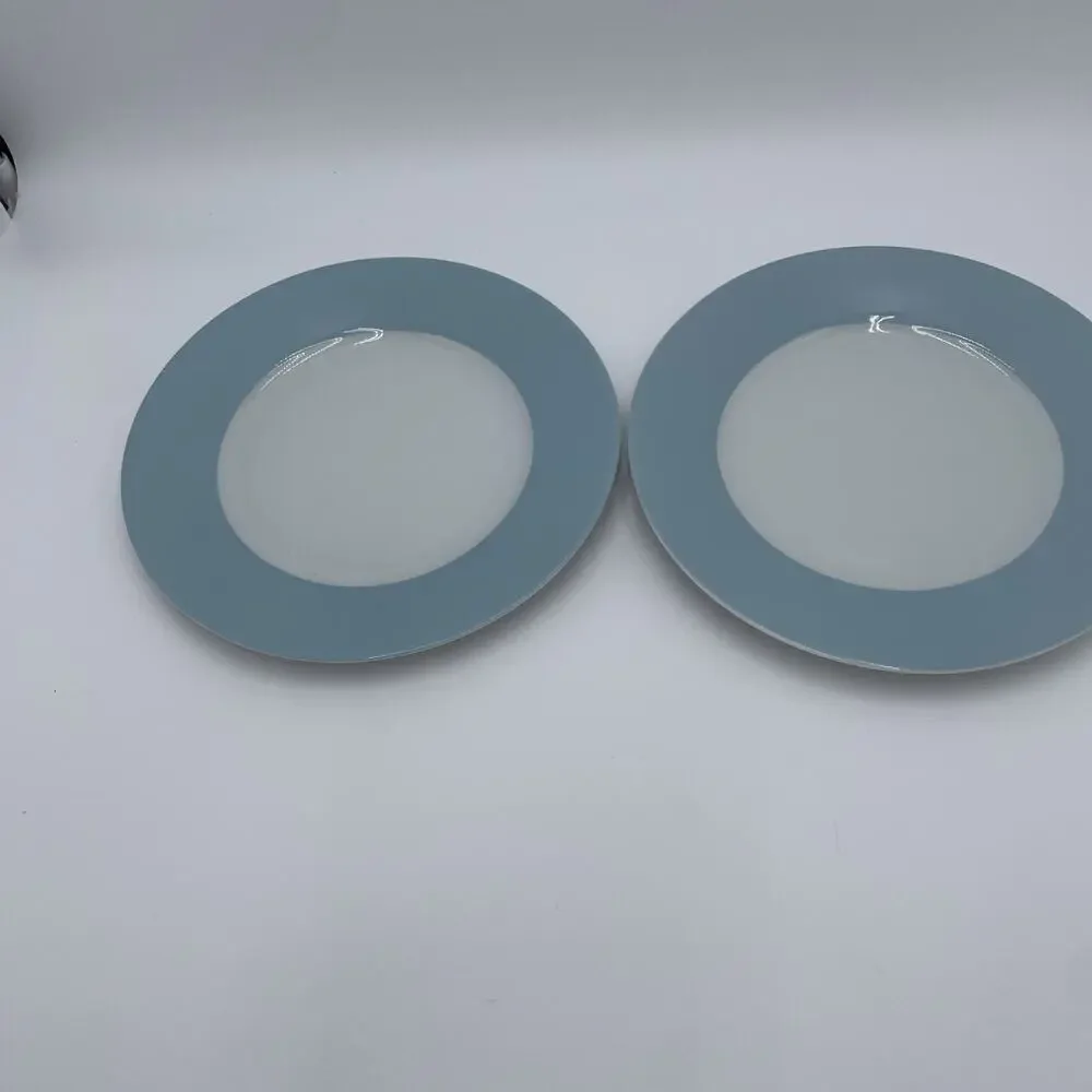 IKEA Susan Pyrke 365 Set of 2 White & Blue Rim Stoneware 8.5” Luncheon Plates
